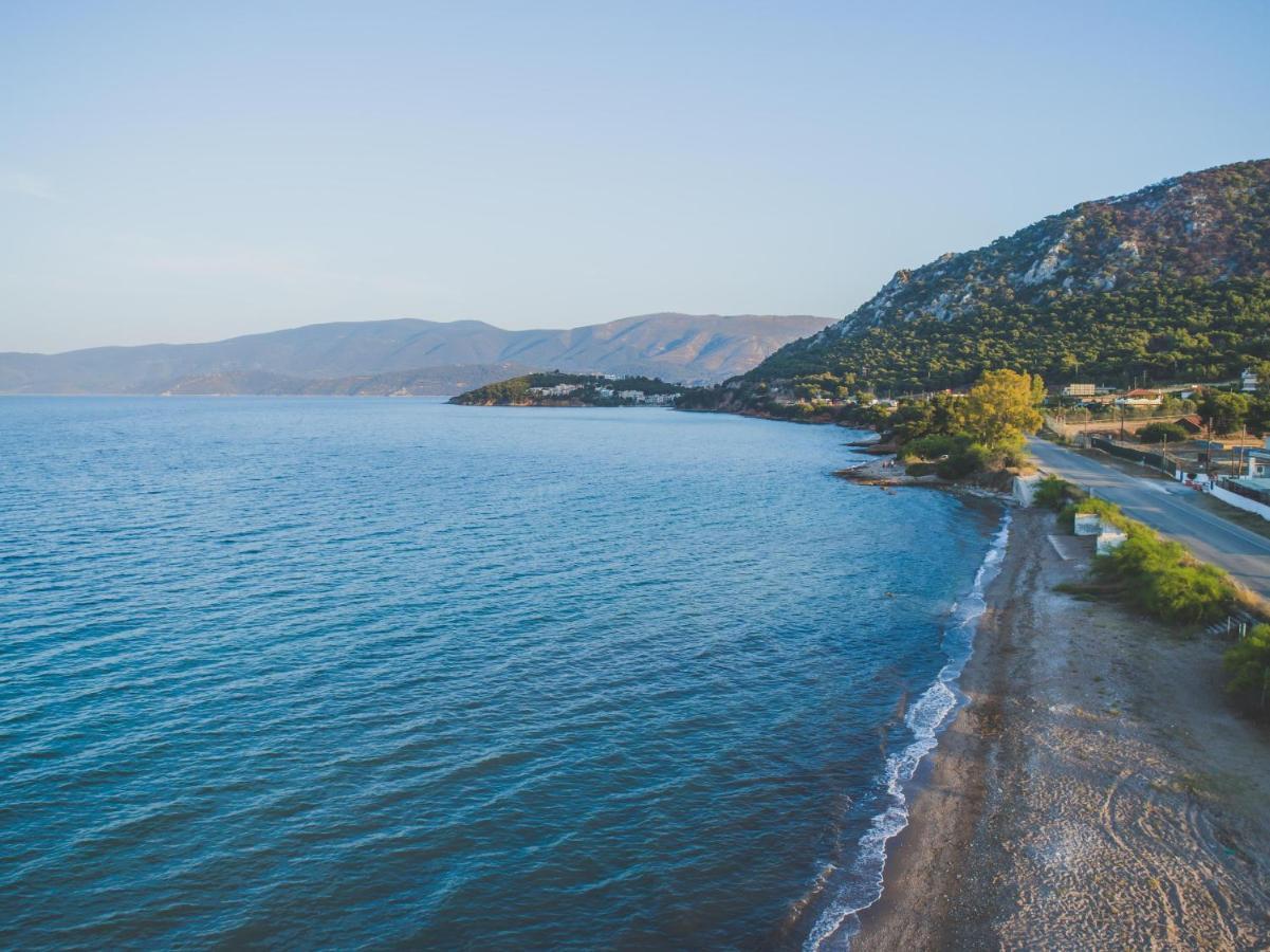 Lemoni Luxury Residence In Front Of The Sea Kechries Exterior photo